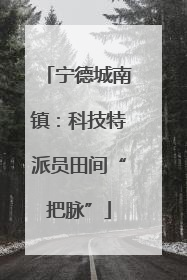 宁德城南镇：科技特派员田间“把脉”