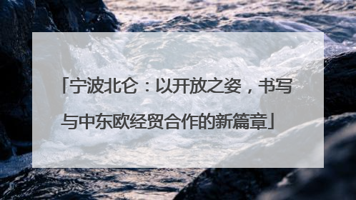 宁波北仑：以开放之姿，书写与中东欧经贸合作的新篇章