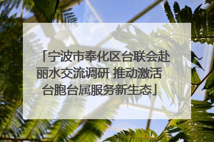 宁波市奉化区台联会赴丽水交流调研 推动激活台胞台属服务新生态
