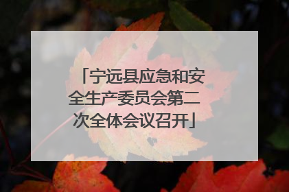 宁远县应急和安全生产委员会第二次全体会议召开