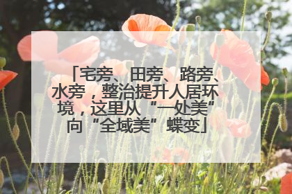 宅旁、田旁、路旁、水旁，整治提升人居环境，这里从“一处美”向“全域美”蝶变