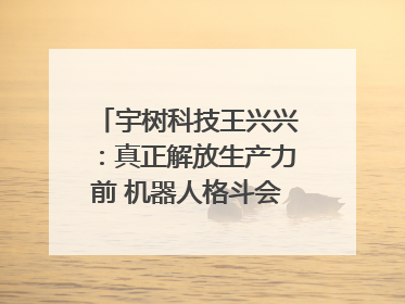 宇树科技王兴兴：真正解放生产力前 机器人格斗会成为全球受欢迎的赛事｜科技观察