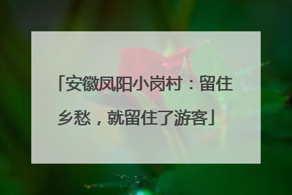 安徽凤阳小岗村：留住乡愁，就留住了游客