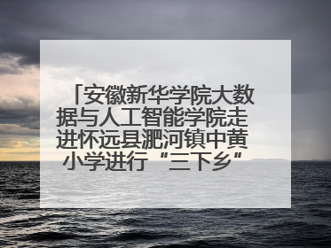安徽新华学院大数据与人工智能学院走进怀远县淝河镇中黄小学进行“三下乡”支教活动