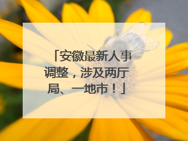 安徽最新人事调整，涉及两厅局、一地市！