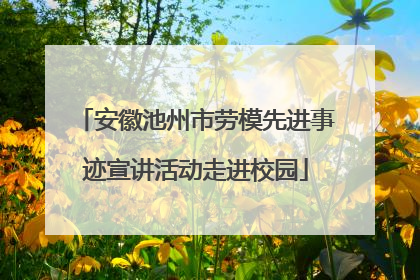 安徽池州市劳模先进事迹宣讲活动走进校园