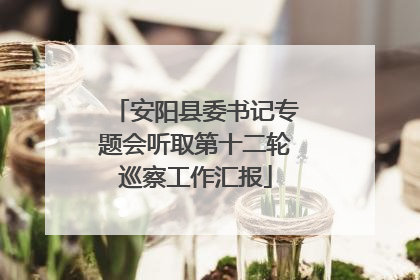 安阳县委书记专题会听取第十二轮巡察工作汇报