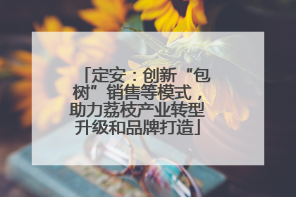 定安：创新“包树”销售等模式，助力荔枝产业转型升级和品牌打造