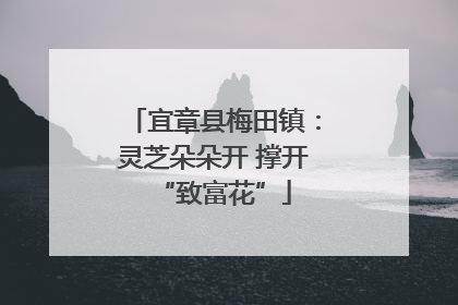 宜章县梅田镇：灵芝朵朵开 撑开“致富花”
