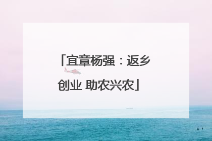 宜章杨强：返乡创业 助农兴农