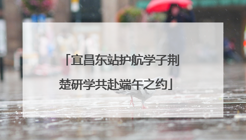 宜昌东站护航学子荆楚研学共赴端午之约