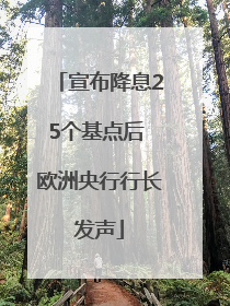 宣布降息25个基点后 欧洲央行行长发声