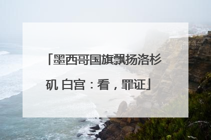 墨西哥国旗飘扬洛杉矶 白宫：看，罪证