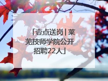 壹点送岗│莱芜技师学院公开招聘22人