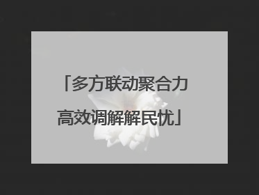 多方联动聚合力 高效调解解民忧