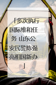 多次执行国际维和任务 山东公安民警陈强亮相国新办