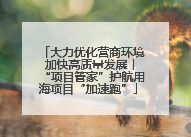 大力优化营商环境 加快高质量发展丨“项目管家”护航用海项目“加速跑”
