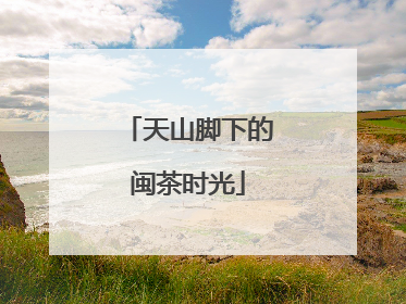 天山脚下的闽茶时光