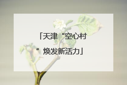 天津“空心村”焕发新活力