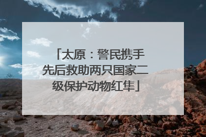 太原：警民携手 先后救助两只国家二级保护动物红隼