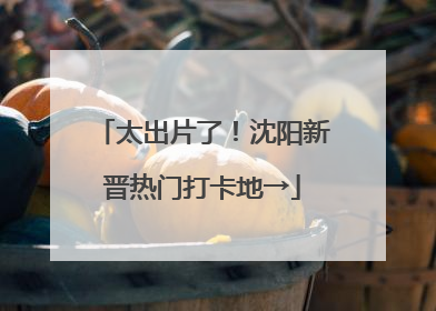 太出片了！沈阳新晋热门打卡地→