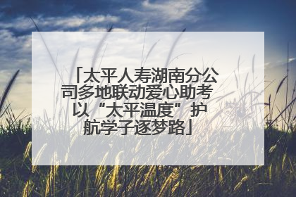 太平人寿湖南分公司多地联动爱心助考 以“太平温度”护航学子逐梦路