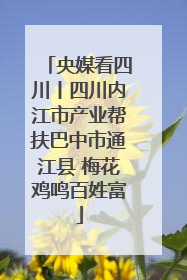 央媒看四川丨四川内江市产业帮扶巴中市通江县 梅花鸡鸣百姓富