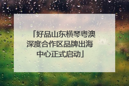好品山东横琴粤澳深度合作区品牌出海中心正式启动