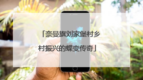 奈曼旗刘家堡村乡村振兴的蝶变传奇