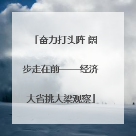 奋力打头阵 阔步走在前——经济大省挑大梁观察