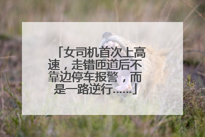 女司机首次上高速，走错匝道后不靠边停车报警，而是一路逆行……