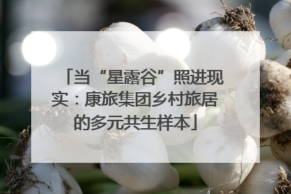当“星露谷”照进现实：康旅集团乡村旅居的多元共生样本