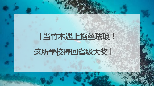 当竹木遇上掐丝珐琅！这所学校捧回省级大奖