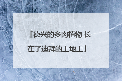 德兴的多肉植物 长在了迪拜的土地上