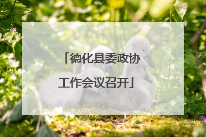 德化县委政协工作会议召开