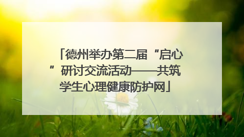 德州举办第二届“启心”研讨交流活动——共筑学生心理健康防护网