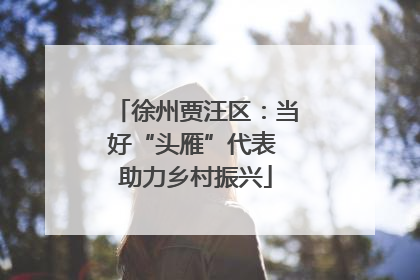 徐州贾汪区：当好“头雁”代表 助力乡村振兴