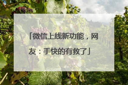 微信上线新功能，网友：手快的有救了