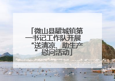 微山县驩城镇第一书记工作队开展“送清凉、助生产”慰问活动