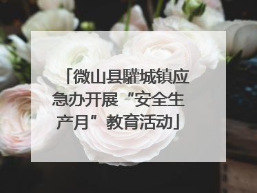 微山县驩城镇应急办开展“安全生产月”教育活动