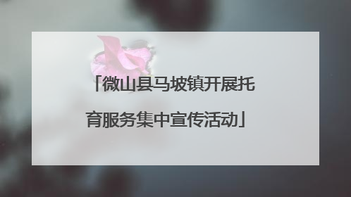 微山县马坡镇开展托育服务集中宣传活动