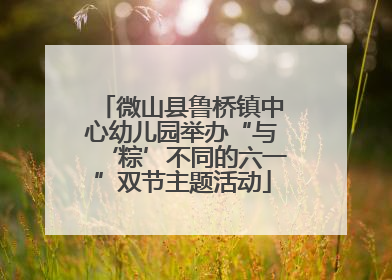 微山县鲁桥镇中心幼儿园举办“与‘粽’不同的六一”双节主题活动