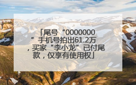 尾号“0000000”手机号拍出61.2万，买家“李小龙”已付尾款，仅享有使用权
