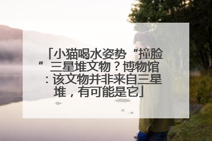 小猫喝水姿势“撞脸”三星堆文物？博物馆：该文物并非来自三星堆，有可能是它