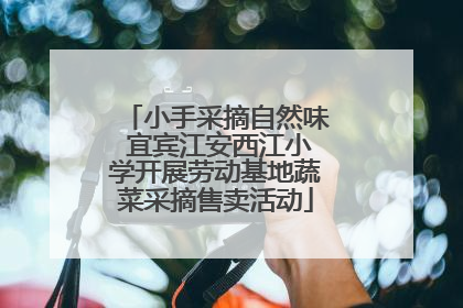 小手采摘自然味 宜宾江安西江小学开展劳动基地蔬菜采摘售卖活动