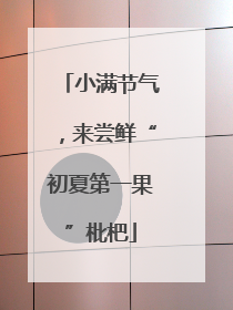 小满节气，来尝鲜“初夏第一果”枇杷