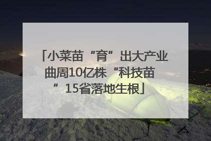小菜苗“育”出大产业 曲周10亿株“科技苗”15省落地生根