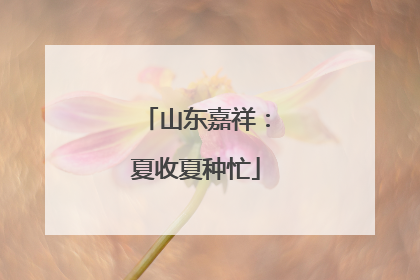 山东嘉祥：夏收夏种忙