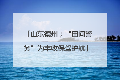 山东德州：“田间警务”为丰收保驾护航