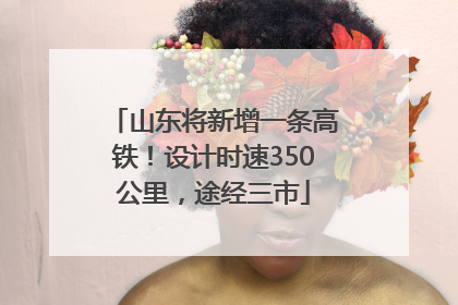 山东将新增一条高铁！设计时速350公里，途经三市